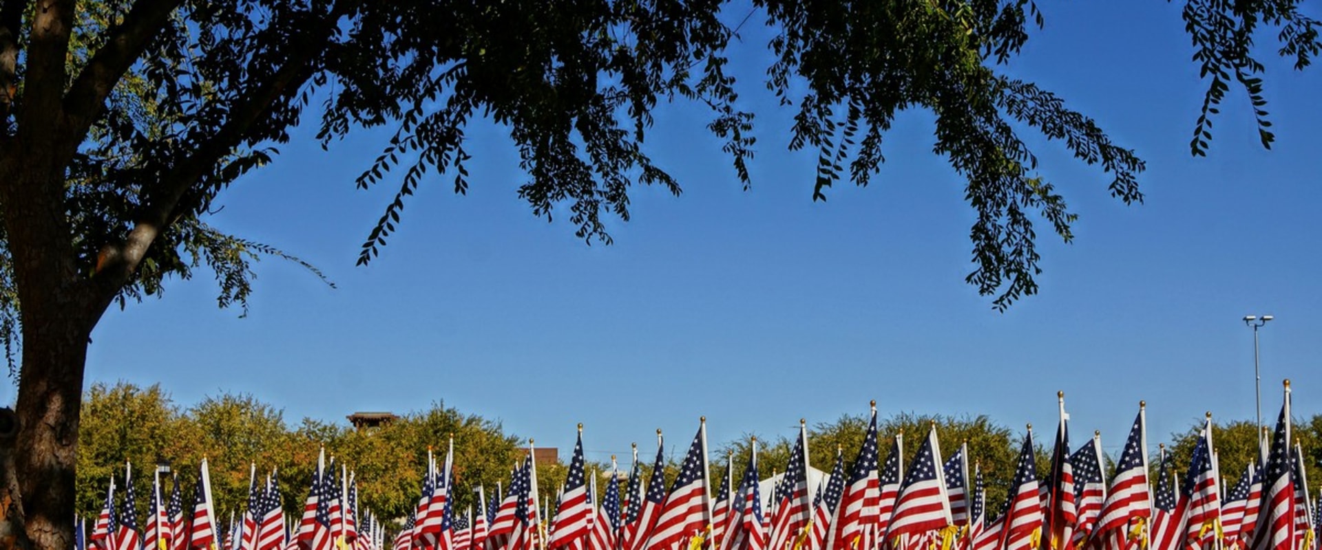 The Ultimate Guide to Choosing Murrieta Movers for a Hassle-Free Move