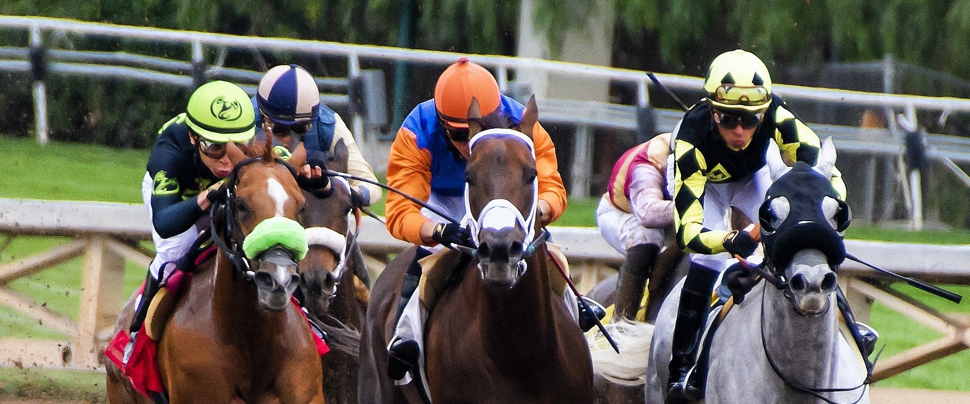 Understanding Race Finish Rules and Regulations