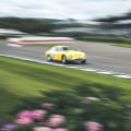 Insurance Requirements for Race Tracks
