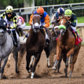 Understanding Race Finish Rules and Regulations
