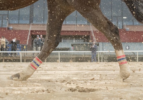 Surface Maintenance Guidelines for Race Tracks